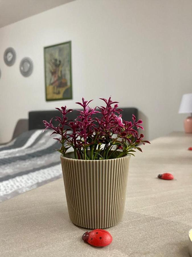 Cozy Apartment Ladybug, Σαράγεβο Εξωτερικό φωτογραφία